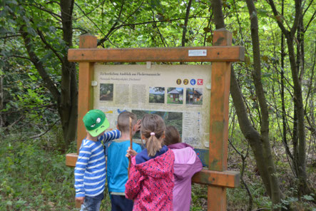 Fledermauslehrpfad bei Vöhl-Asel