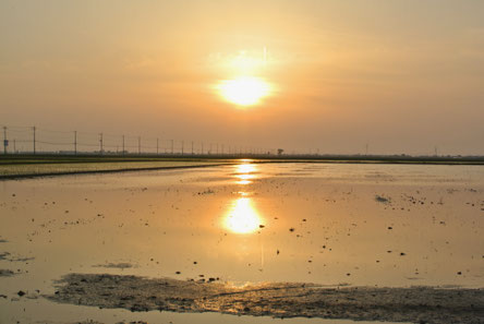 地元・佐原（現・香取市）を中心に ＣＮＳが皆さまのお手伝いする時の ８つの心がけを、お伝えいたします