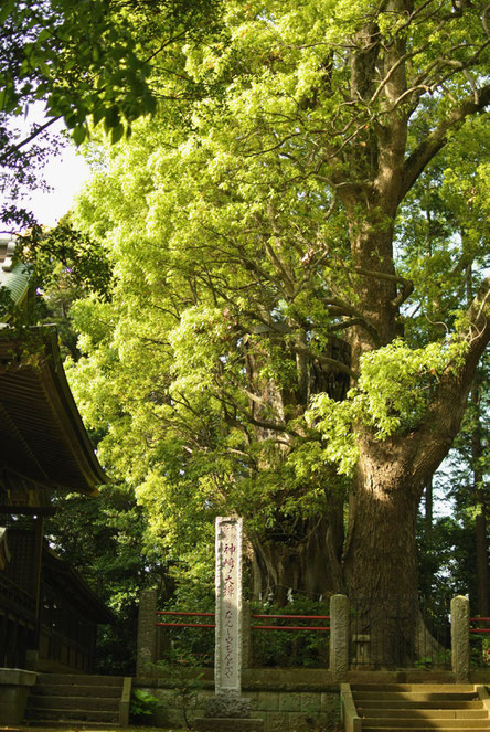 地元・佐原（現・香取市）を中心に ＣＮＳが皆さまのお手伝いする時の ８つの心がけを、お伝えいたします