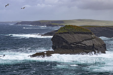 IRELAND