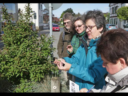 Kräuterwanderung mit dem Sozialen Netz Trebur am 20.04.2017