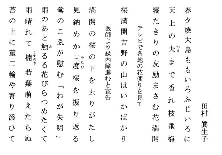 あけび通信 第114号（2017年5月）