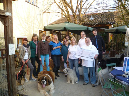 Den Erlös der Hunderally spendet Hundefreunde-Schierling e.V. an Sternstunden München