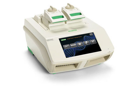 The C1000 Touch thermal cycler offers superior performance and a large color touch screen for easy programming. This fully modular platform is able to accommodate different throughput needs with easily interchangeable reaction modules that swap in seconds