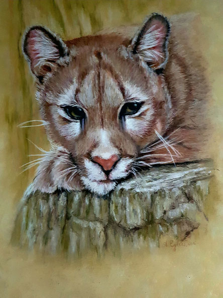 Puma, Pastellkreide 50x70  2016