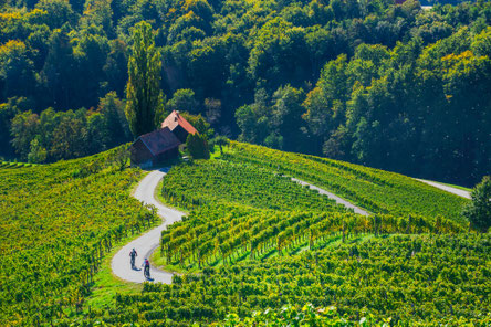 Stajerska Region Scenic Beauty