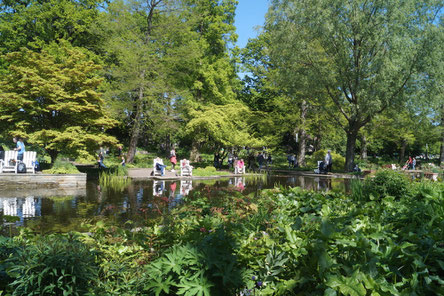 Planten un Blomen: Ruhiges Wasser und viel Grün