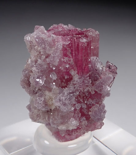 Rubellite