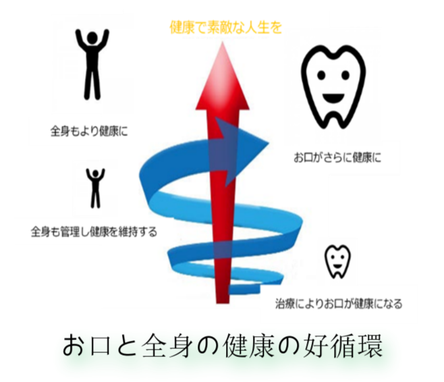 お口と全身の両方向からのアプローチで生まれる健康の好循環