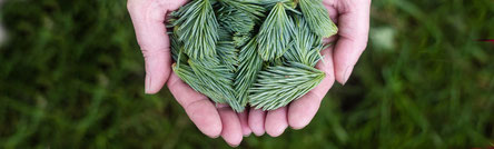 Françoise Raso, naturopathe, phytothérapeute, aromathérapeute, détox, Dordogne