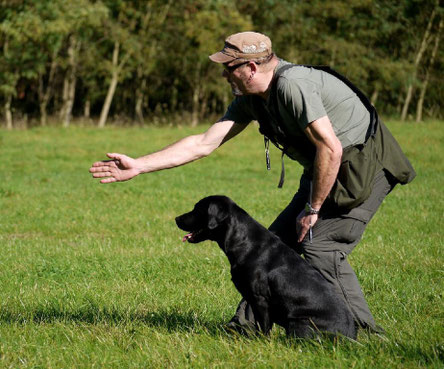 Voranschicken auf einen dem Hund unbekannten Punkt