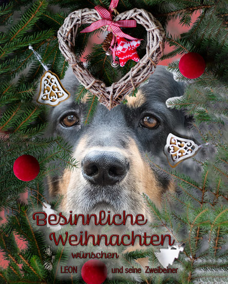 Besinnliche Weihnachten