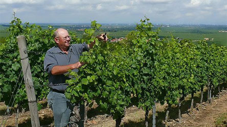 WeinWanderWochenende Pfalz
