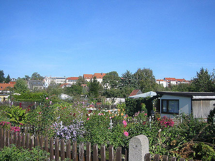 街中にあるレンタルガーデン。右に見えるのが「庭の家」(Gartenhaus)。©Flickr/Larissa Pahomov