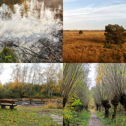 Moor, Hille, Hiller Moor, Oarken, Parkmöglichkeiten, Torfmoor Hille, Freizeitmöglichkeit, Wandern, Urlaub in Deutschland, NRW, Informationstafeln, Moorleichen, Moortreten