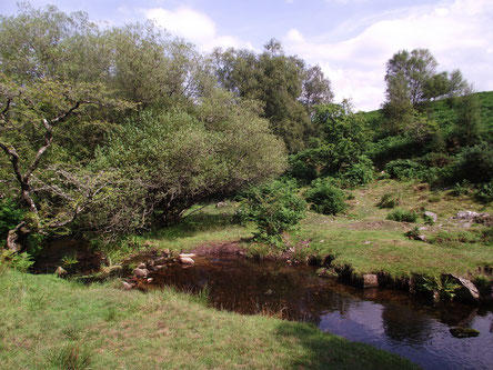 Dartmoor, Devon, England