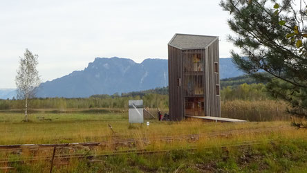 Neuer Beobachtungsturm (Moorobservatorium) - Foto: J. Goldmann