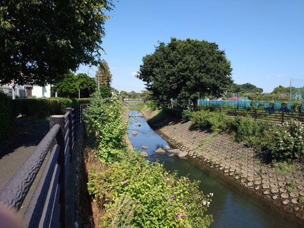 和泉川