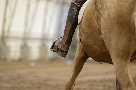 Kurse rund um Pferde zu Horsemanship, Dressur, Gymnastizierung, Reitkunst, Verladetraining, Longieren, Doma Vaquera, Working Equitation, Equibalance für Anfänger und Fortgeschrittene mit Klaudia Duif beim Pferdehof Duif