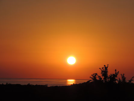 Blick vom Balkon in die Abendsonne :-)