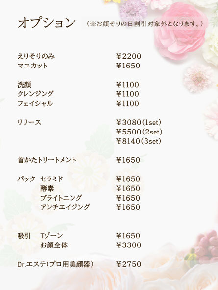 オプションの説明と料金