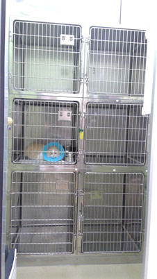 犬・猫のペットホテル