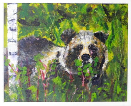 Bären- und Wolfspark Schwarzwald
