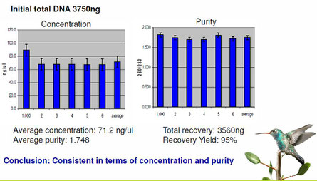 Isolierung von DNA, PCR clean up purification kit