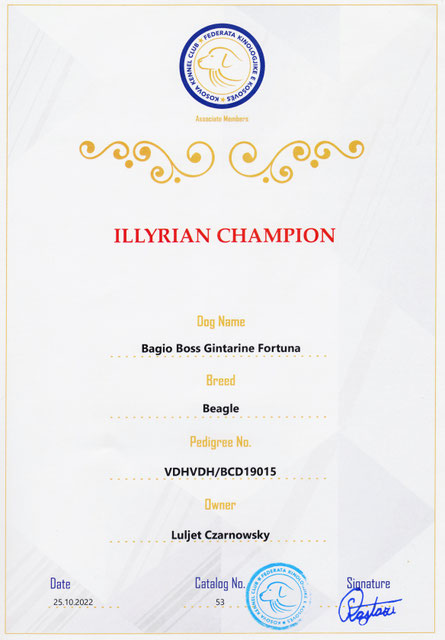 Bagio Boss Gintarine Fortuna * Lord James *, Czarnowsky , Beagle, Beagle, Beagle, Beagle, Beagle, Champions, Winner, the Best, Love, Star