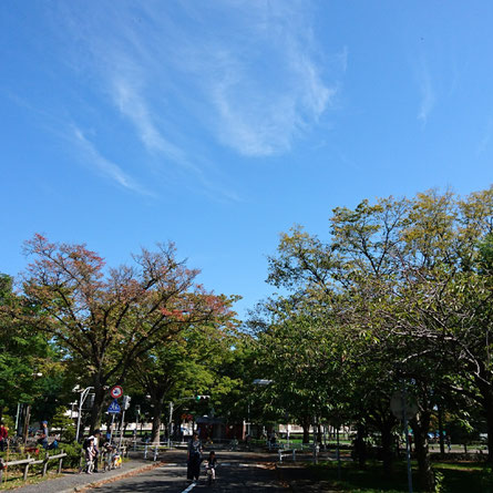 ダブルケア「介護は３０点で良い。４人でやって１００点以上になる。」