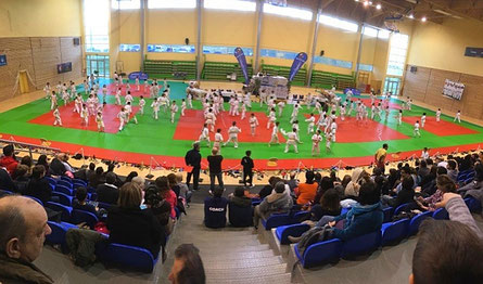 Échauffement des petits judokas 