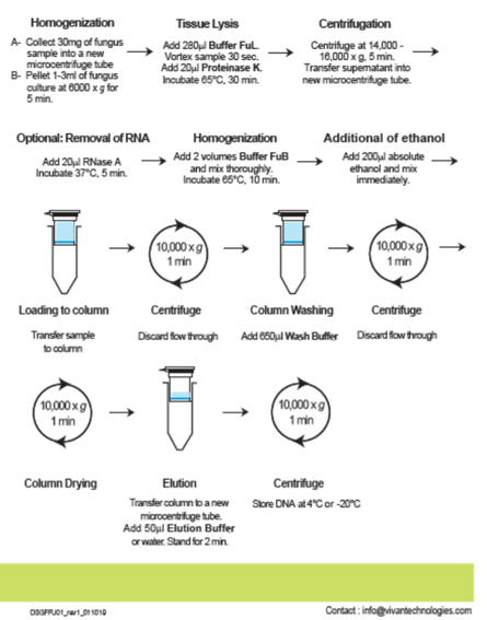 bacterial DNA purification Kit