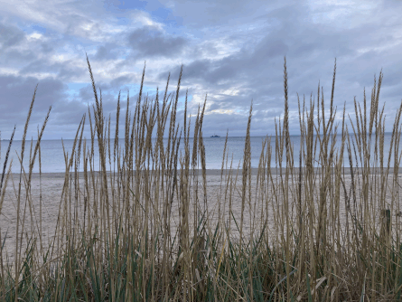 Altmunition aus dem Zweiten Weltkrieg liegt bis heute auf dem Meeresgrund der Ostsee – während erneut Kriegsschiffe in Sichtweite von Timmendorfer Strand manövrieren.