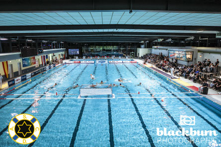 Das Schwimmstadion von oben Foto: Florian Blackburn