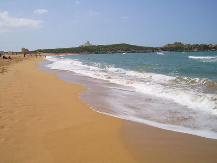 Plage Arriere Grand Phare Site De Plages Dalgérie