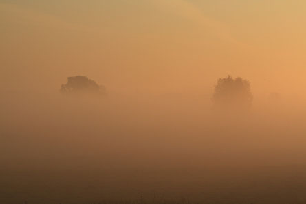 Mist boven de Lingewaardse uiterwaarden