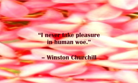 No Pleasure in Human Woe Quote from Winston Churchill