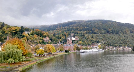 Blick auf das herbstliche Miltenberg und den Main. Foto: Christoph Schumann, 2025