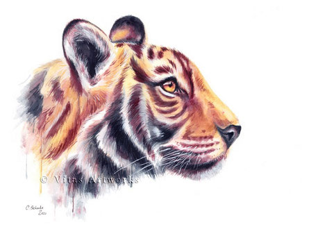 Tiger Bild in Aquarell