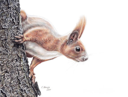Eichhörnchen an einem Baum sitzend