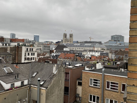 Brussel - Zicht op de Kathedraal van Sint-Michiel en Sint-Goedele - ThP 230329