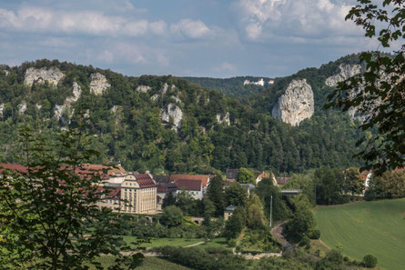 © Traudi