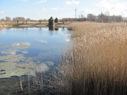 Absetzbecken im rrüheren Wasserwerk Kaltehofe