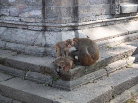Nepal mit Kind