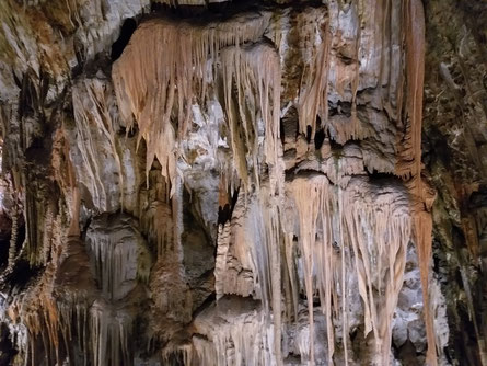 Tropfsteine in der Postojna Höhle 