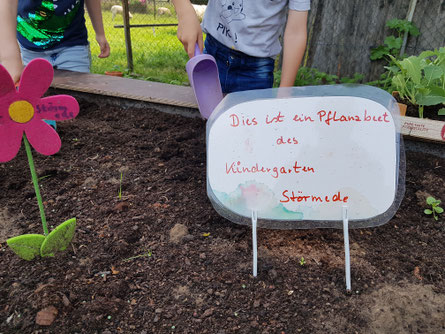 Alle packen mit an - auch die Kindergartenkinder aus Störmede kümmern sich um ihr Hochbeet