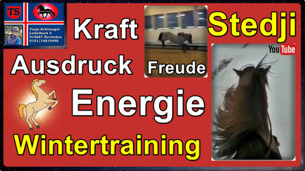 Link führt direkt zu Video bei YouTube
