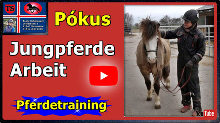 Link führt direkt zu Video bei YouTube