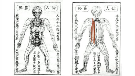 腱引き