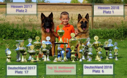 Aktuelles Zuchtstatte Fur Deutsche Schaferhunde Von Der